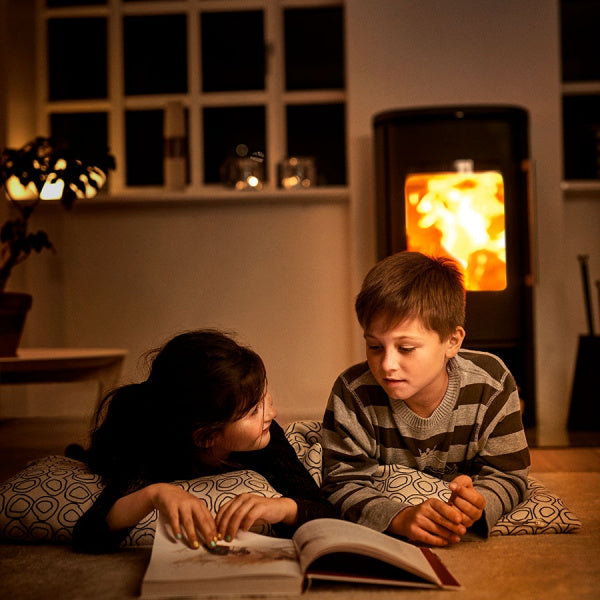 Morsø 8843 Vedeldad kamin med vedmagasin